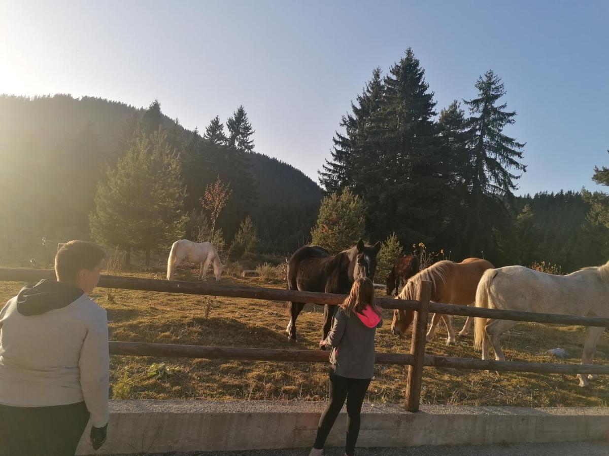 Forest Home 524 Paşmaklı Dış mekan fotoğraf