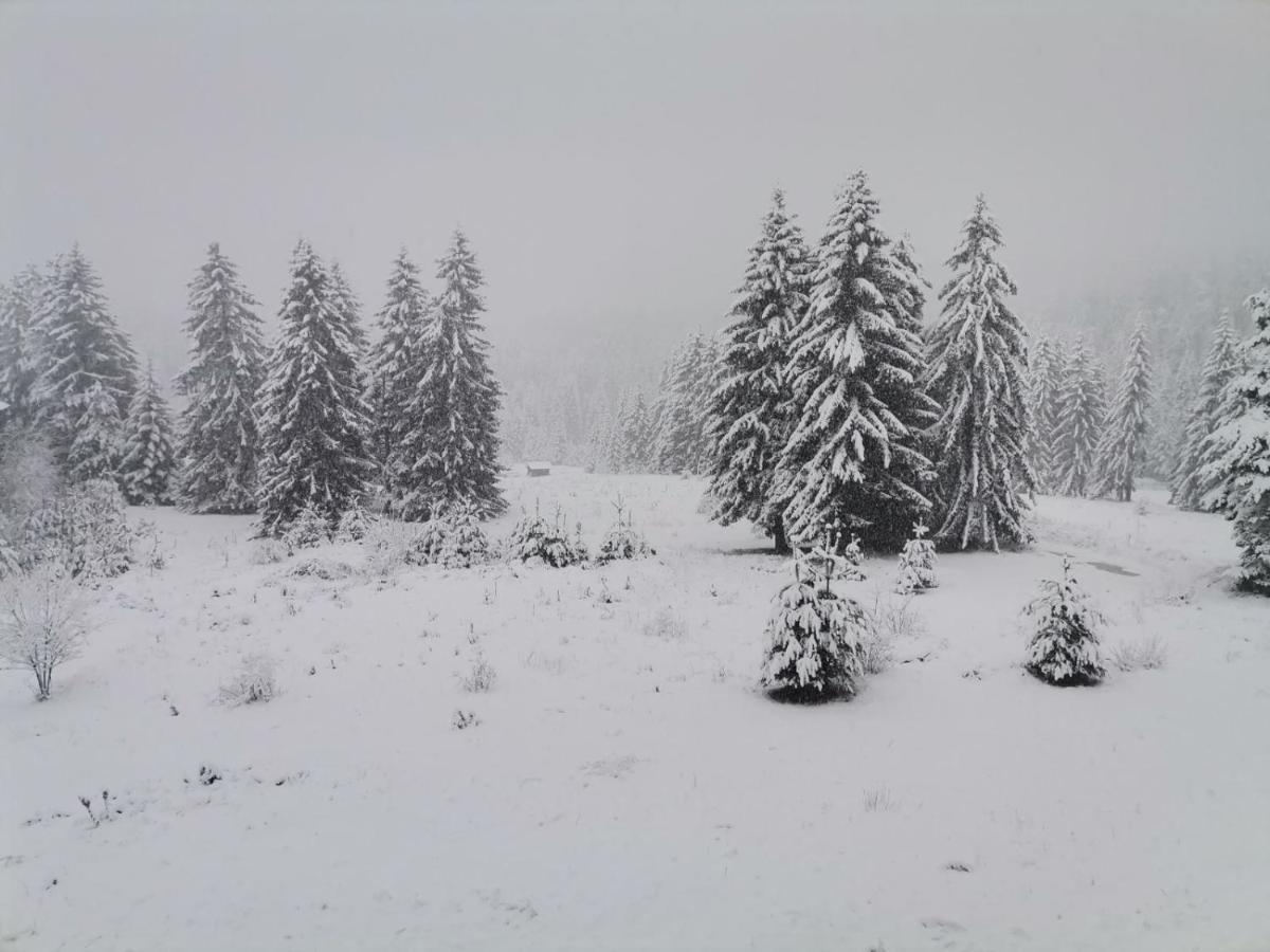 Forest Home 524 Paşmaklı Dış mekan fotoğraf
