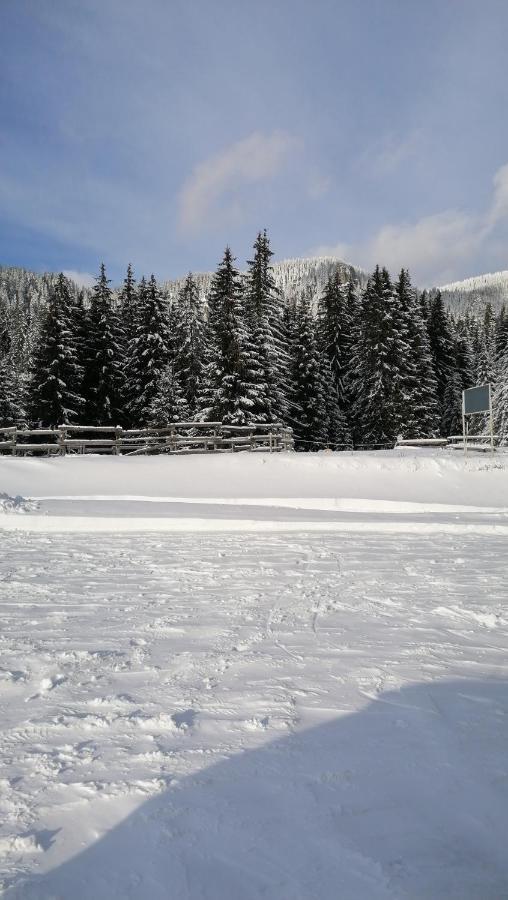 Forest Home 524 Paşmaklı Dış mekan fotoğraf